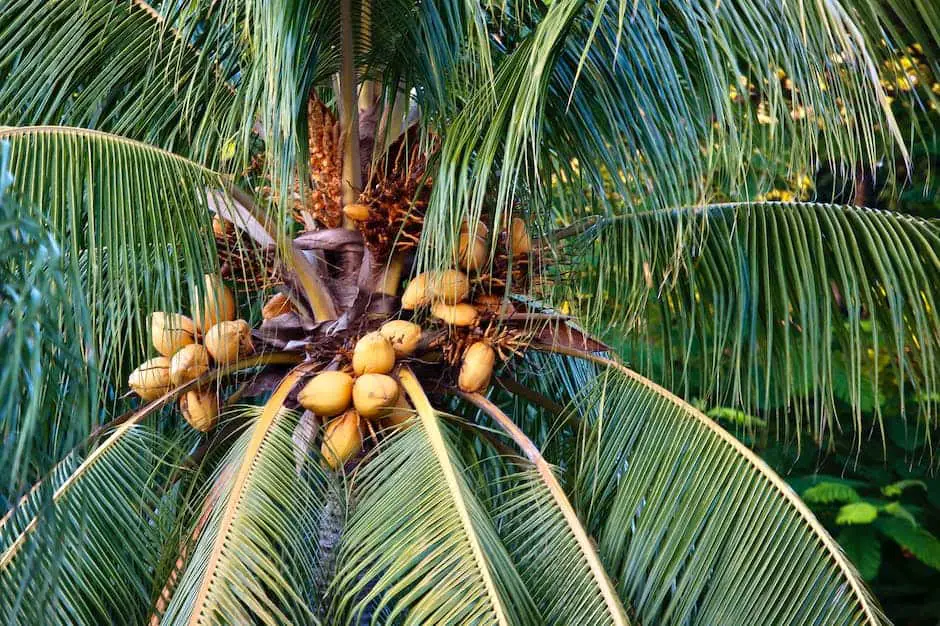 The 10 Best Neighborhoods in Palm Beach Gardens, Florida Kurby Real