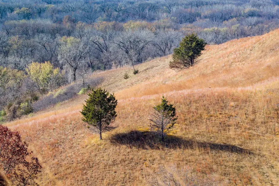 Los 10 Mejores Vecindarios En Eden Prairie Minnesota Kurby Real Estate Ai 8300