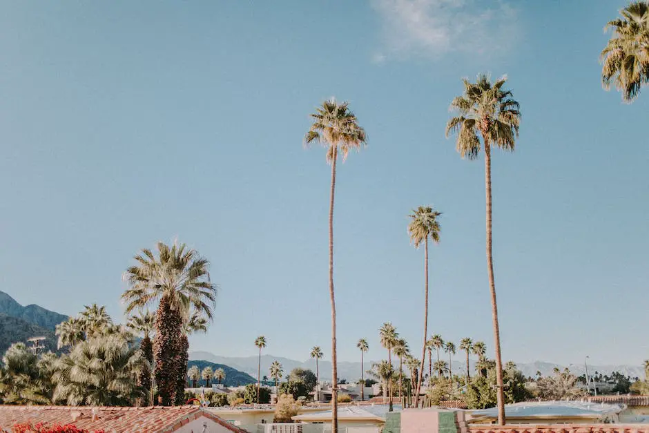 The 10 Best Neighborhoods in Palm Springs, California - Kurby Real Estate AI