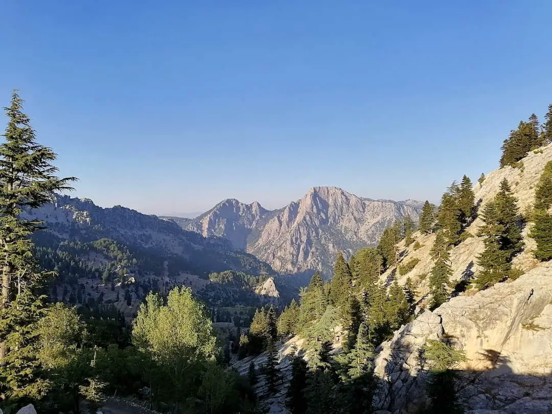 Understanding the Rental Market in Adana, Turkey Kurby Real Estate AI