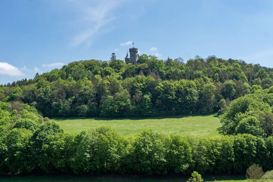 How to Find the Best Real Estate Agents in Essen, Germany