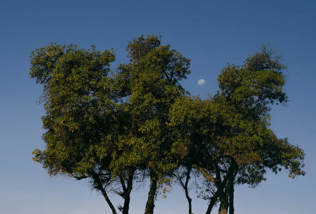Maipú