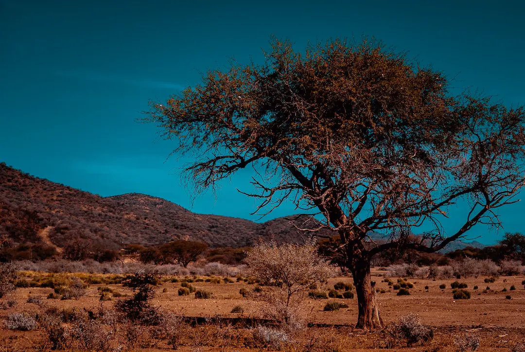 Windhoek