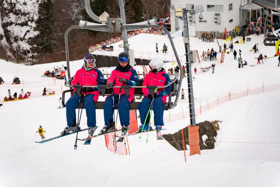 The Ultimate Weekend in Niigata, Japan: How to Make the Most of 48 Hours