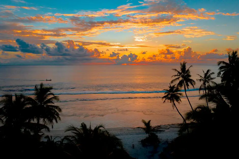 The 10 Best Things To Do In Palm Coast