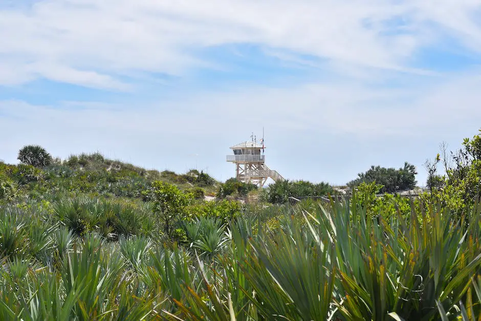 Pointe-Noire Attractions: The 10 Best Tourist Attractions In Pointe-Noire